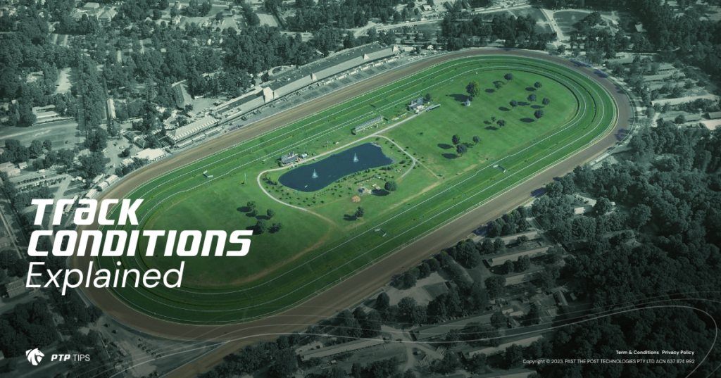 Track conditions PTP Tips